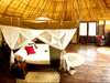 Nsolo Bush Camp - bedroom
